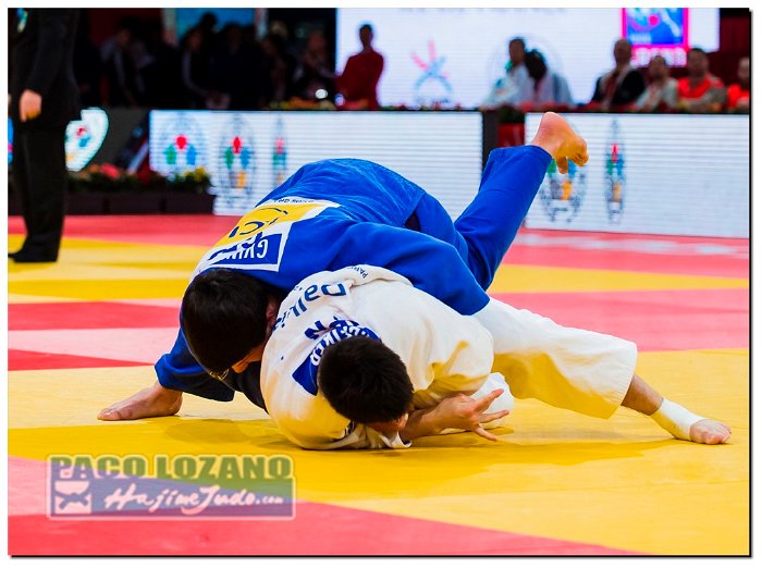 Paris 2014 by P.Lozano cat -90 kg_PLM4073